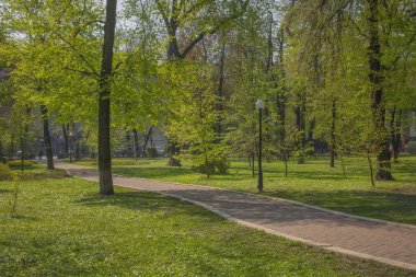 Şehir parkında aydınlık ve güneşli bir bahar günü