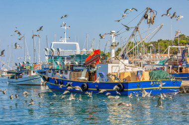 VRSAR, CROATIA - 11 Ağustos 2019: Limanda balıkçı tekneleri