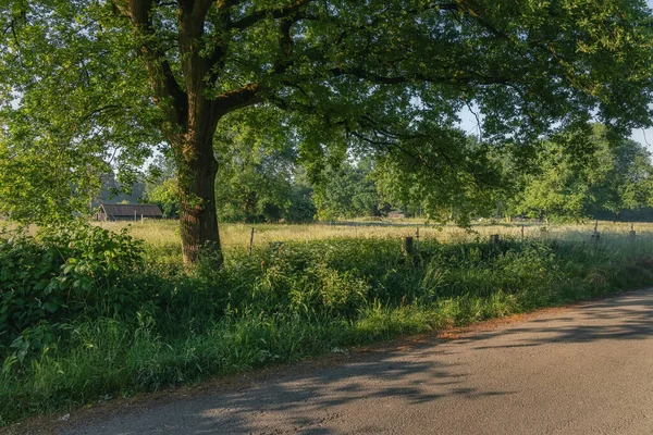 kırsal kesimde yaz sabahı