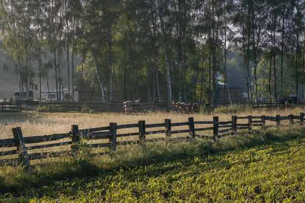 kırsal kesimde yaz sabahı
