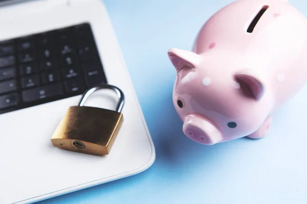 Piggy bank with a computer security system on a laptop.