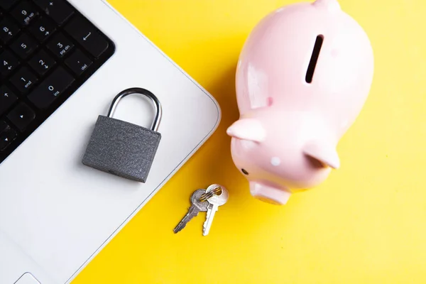 Piggy bank with a computer security system on a laptop.