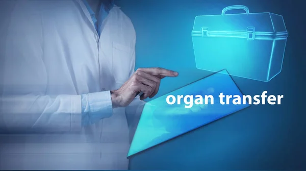 Kotak Kulkas Untuk Transportasi Organ Donor Manusia — Stok Foto