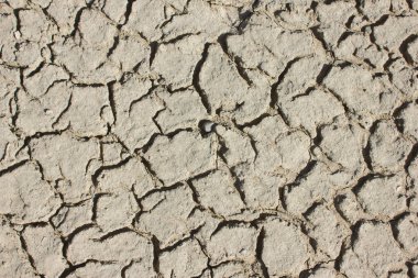 Çatlamış toprak. Kuraklık sorunu.