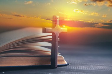 Kitapta tahta haç var.