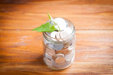 Tahta masa üzerinde kavanoz dolusu madeni para yetiştirmek - Yatırım Büyüme Konsepti