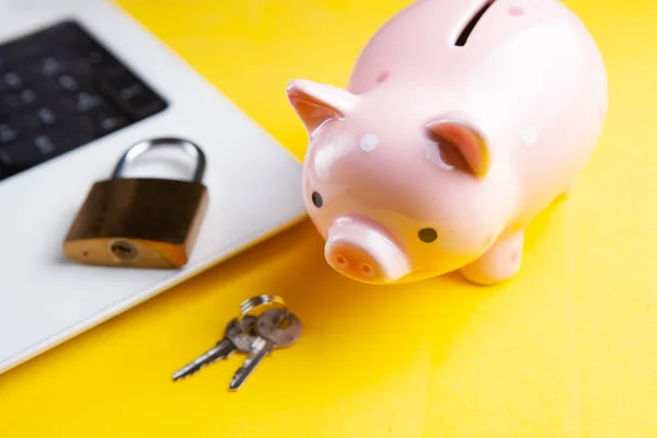 Piggy bank with a computer security system on a laptop.