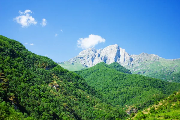 Vista Del Denso Bosque Montaña Bajo Cielo Azul Monte Khustup —  Fotos de Stock