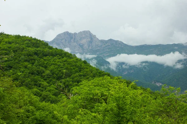 Vista Del Denso Bosque Montaña Bajo Cielo Azul Monte Khustup —  Fotos de Stock