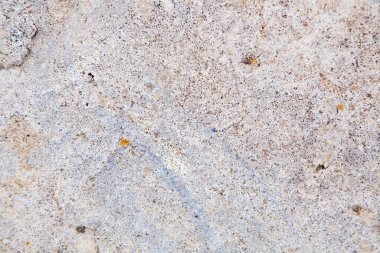 Renkli yosunlu gri kaya