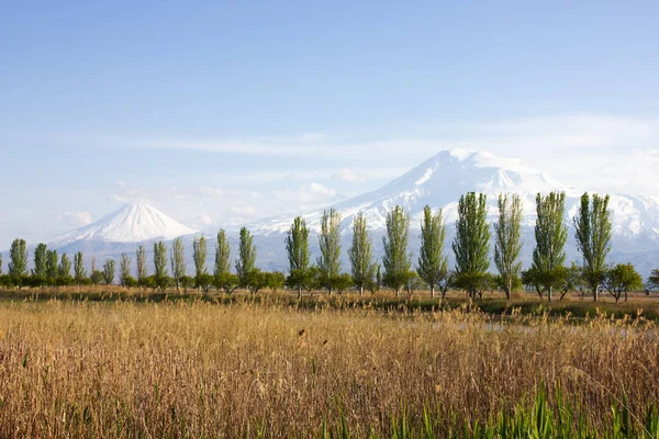 Berg Ararat Und Bäume Während Des Tages — Stockfoto
