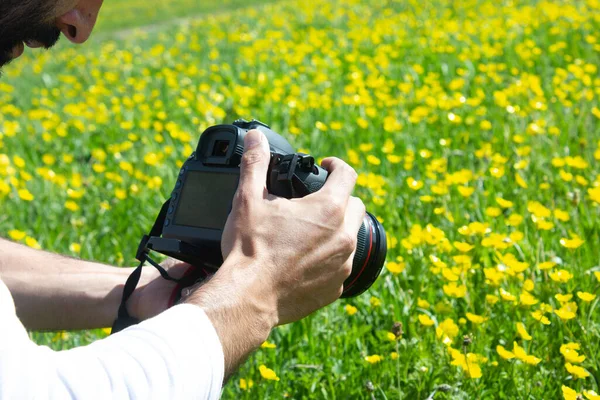 Fotografen Tar Bilder Blommor Fältet — Stockfoto