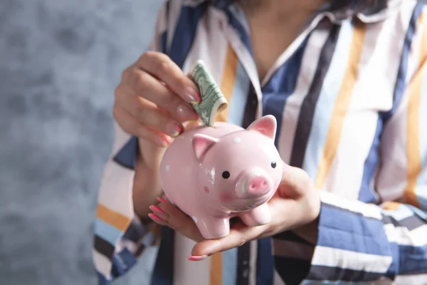 Puts Dollar Bill Piggy Bank — Stock Photo, Image