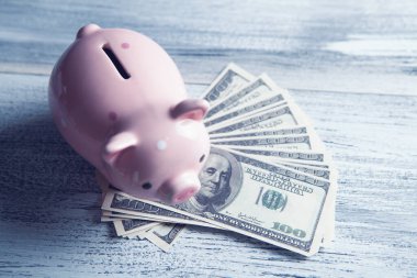 kumbara banknotlar üzerinde