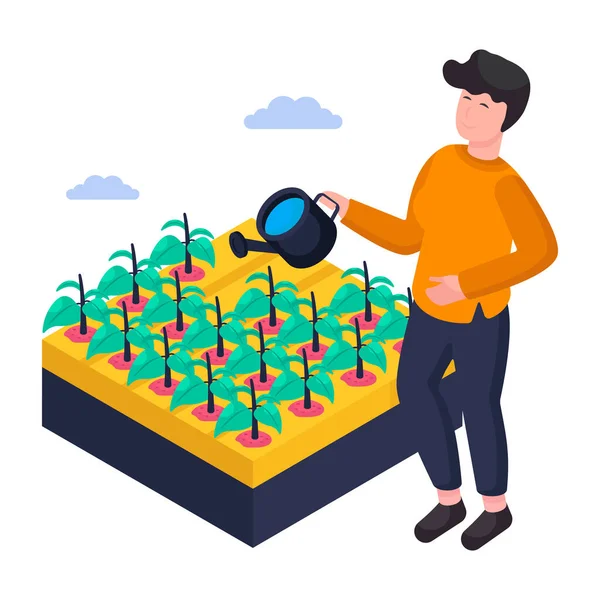 Bitki sulamanın bir tasarımı