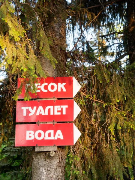 Red White Pointers Tree Written Them Bottom Top Water Toilet — Stock Photo, Image