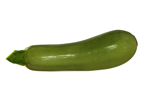 Courgettes une courgette sur un fond isolé — Photo