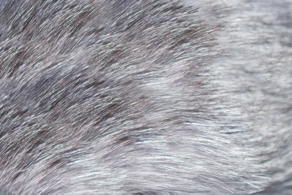 White, grey, black texture, fur, background, villi — стоковое фото