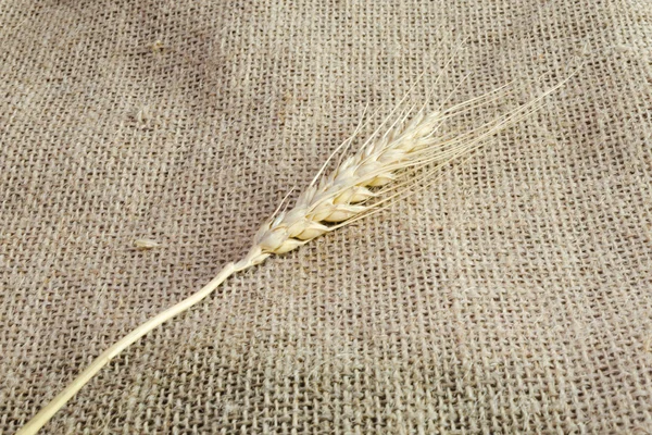 Orejas de trigo sobre fondo de arpillera —  Fotos de Stock