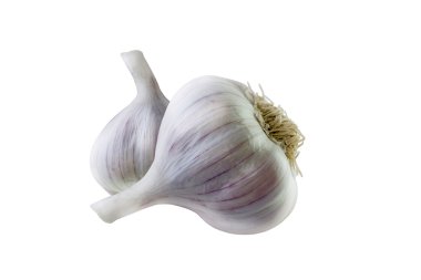 Beyaz arka planda taze taze sarımsak.