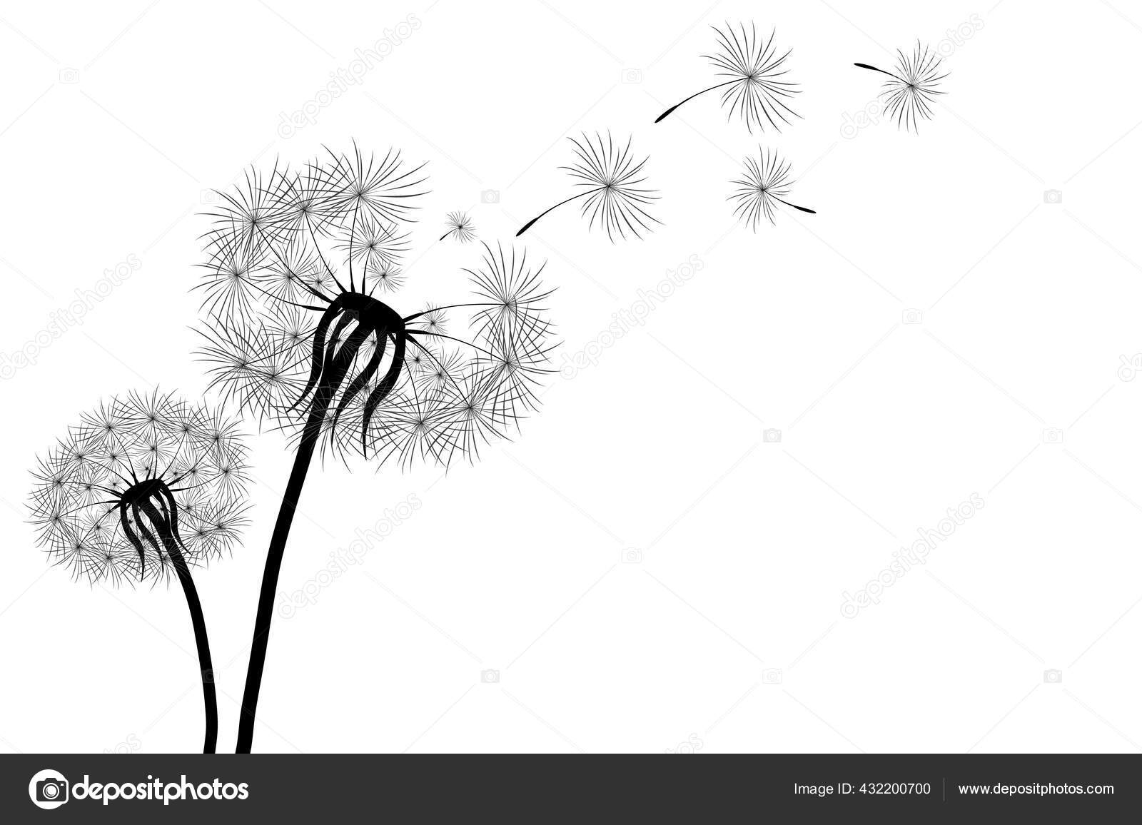 Download 52 Blowing Dandelion Clipart Vector Images Free Royalty Free Blowing Dandelion Clipart Vectors Depositphotos