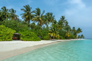 plajları, harika güneş, beutifull doğa,
