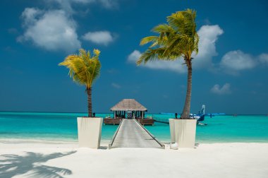 plajları, harika güneş, beutifull doğa,