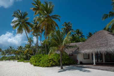 plajları, harika güneş, beutifull doğa,