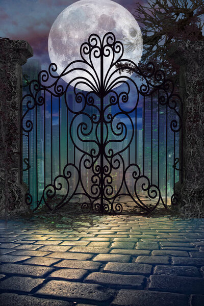 Gate in moonlit night