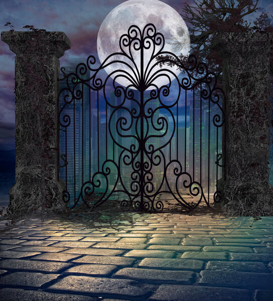 Gate in moonlit night
