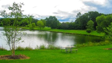 Orman yazın manzarayı korur, gölün etrafındaki yemyeşil bitki örtüsü
