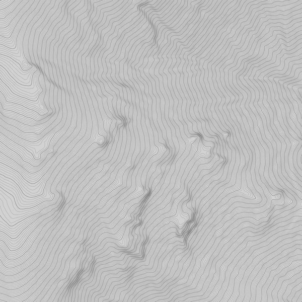 Topographie vectorielle sur fond gris — Image vectorielle