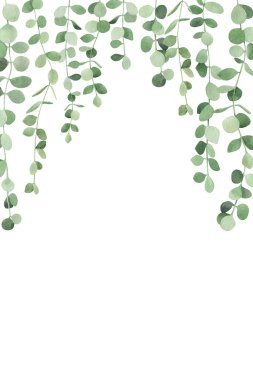 Suluboya elle çizilmiş sınır sulu peperomia yeşil şelale bitkisi