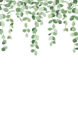 Suluboya sulu bitkilerle sınır peperomia yeşil şelale bitkisi