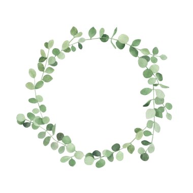 Suluboya elle çizilmiş çelenkler peperomia yeşili bitkiler.