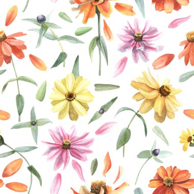 Calendula ve echinacea ile kusursuz suluboya desenli
