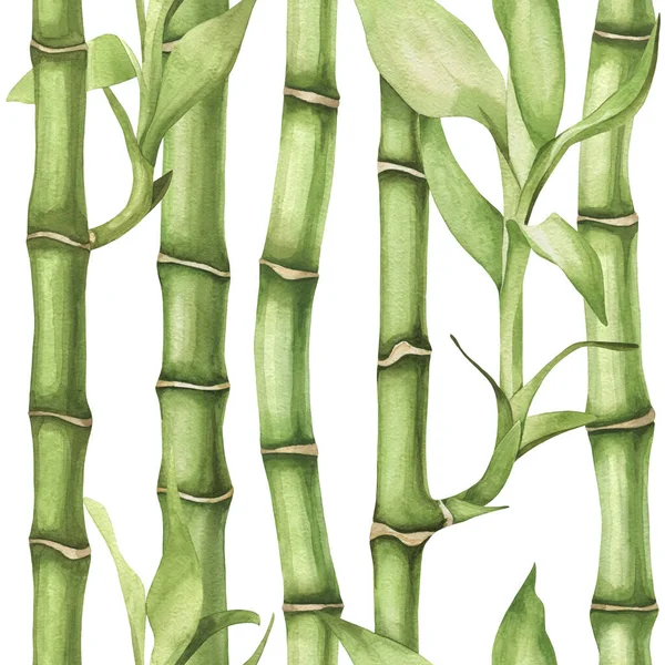 Seamless watercolor pattern with hand drawn bamboo