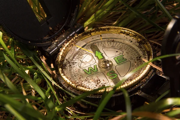 çimenlerin üzerinde pusula