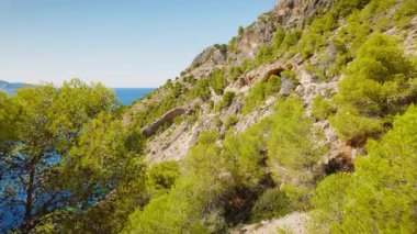 Orman kayalıkları, açık mavi deniz ve Assos Kalesi ile Rocky Cephalonia kıyı şeridi.