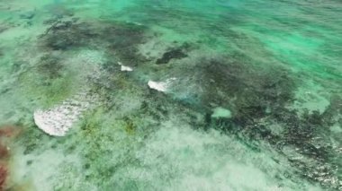 Xpu Ha sahili Meksika 'daki Karayip mercan resifinin üzerindeki turkuaz su manzarası..