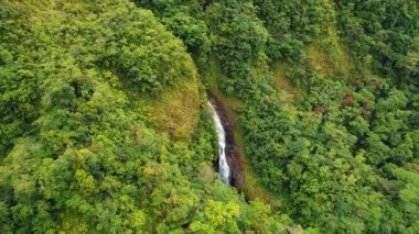 Yoğun yeşil yağmur ormanları ve gizli şelaleleri Kosta Rika 'da sarp bir uçurumdan aşağı yuvarlanıyor..