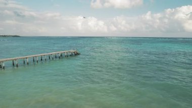 Pelikanlar, açık bir sahil gününde, parlak mavi gökyüzünün altında, ahşap bir rıhtımın yakınındaki turkuaz okyanusun üzerinde uçarlar..