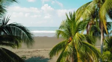 Playa Linda 'nın sakin manzarasını çerçeveleyen palmiye ağaçları Kosta Rika' da karanlık kumlu plajlar.