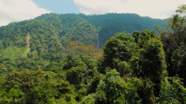 Kosta Rika 'da yoğun tropikal orman ve elmas şelalesi üzerinde insansız uçak uçuşu.