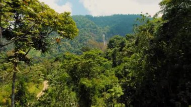 Güneşli bir günde yoğun tropikal orman dağlarından çağlayan şelale..