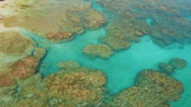Kosta Rika 'nın Karayipler kıyısındaki parlak mercan resiflerinin hava manzarası..