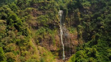 Kosta Rika 'nın yemyeşil ormanında kayalık kayalıklardan aşağı çağlayan uzun şelale..