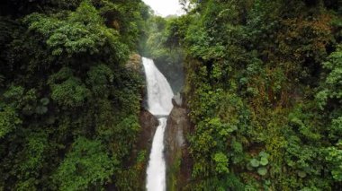Kosta Rika 'da sık yağmur ormanlarından akan iki akarsu ile La Paz Şelalesi.