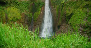 Hızla akan şelale Catarata del Toro yosun kaplı uçurumlar ve yeşil çimlerle çevrili bir havuza iner..