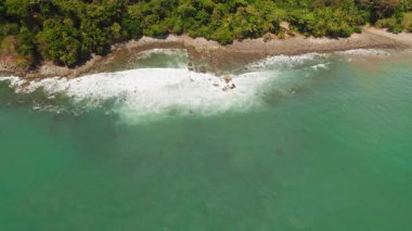 Okyanus dalgaları yoğun yemyeşil ormanlarıyla kayalık tropikal kıyılara çarpıyor..